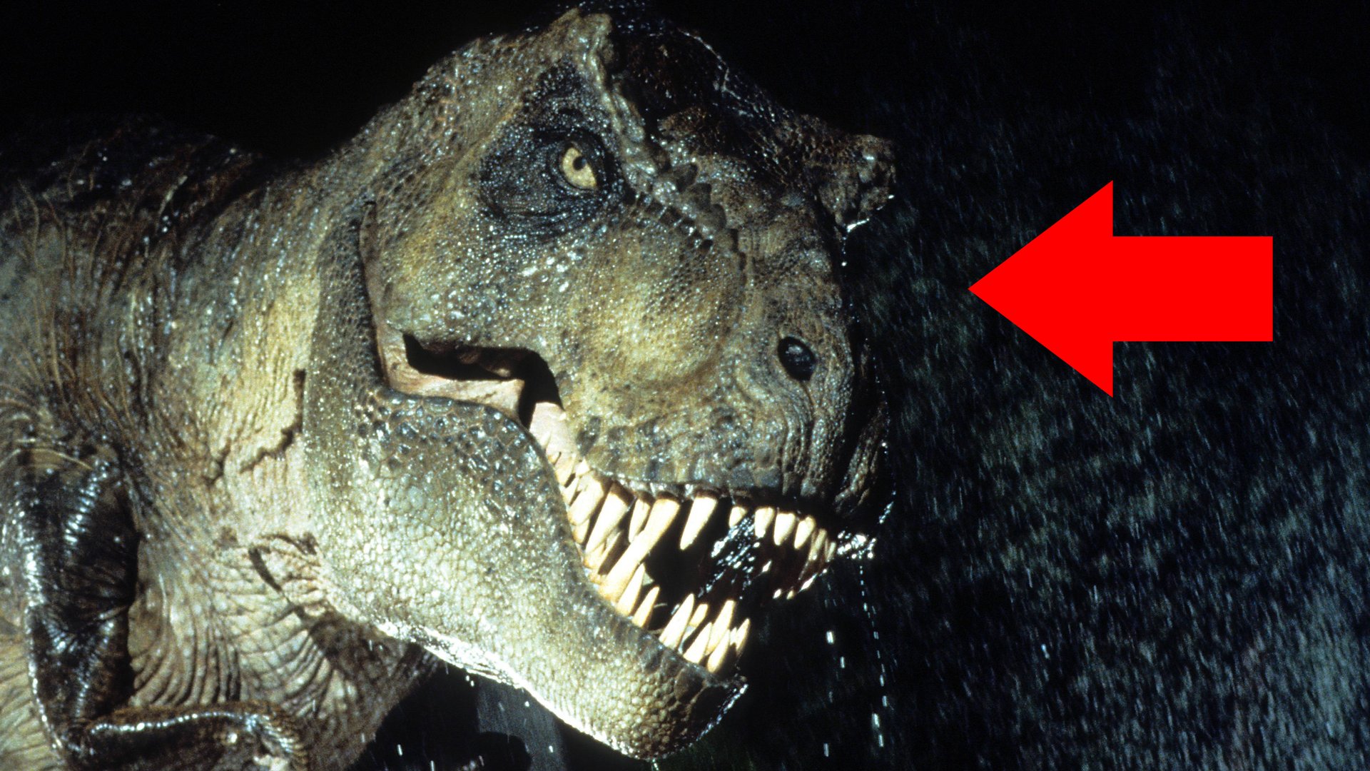 Sci-Fi-Fehler mit Absicht? Die wahre Bedeutung eines vermeintlichen "Jurassic Park"-Patzers könnten viele Fans übersehen haben