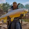 Assassin's Creed Valhalla: Alle 19 Fischarten - Fundorte zum Angeln