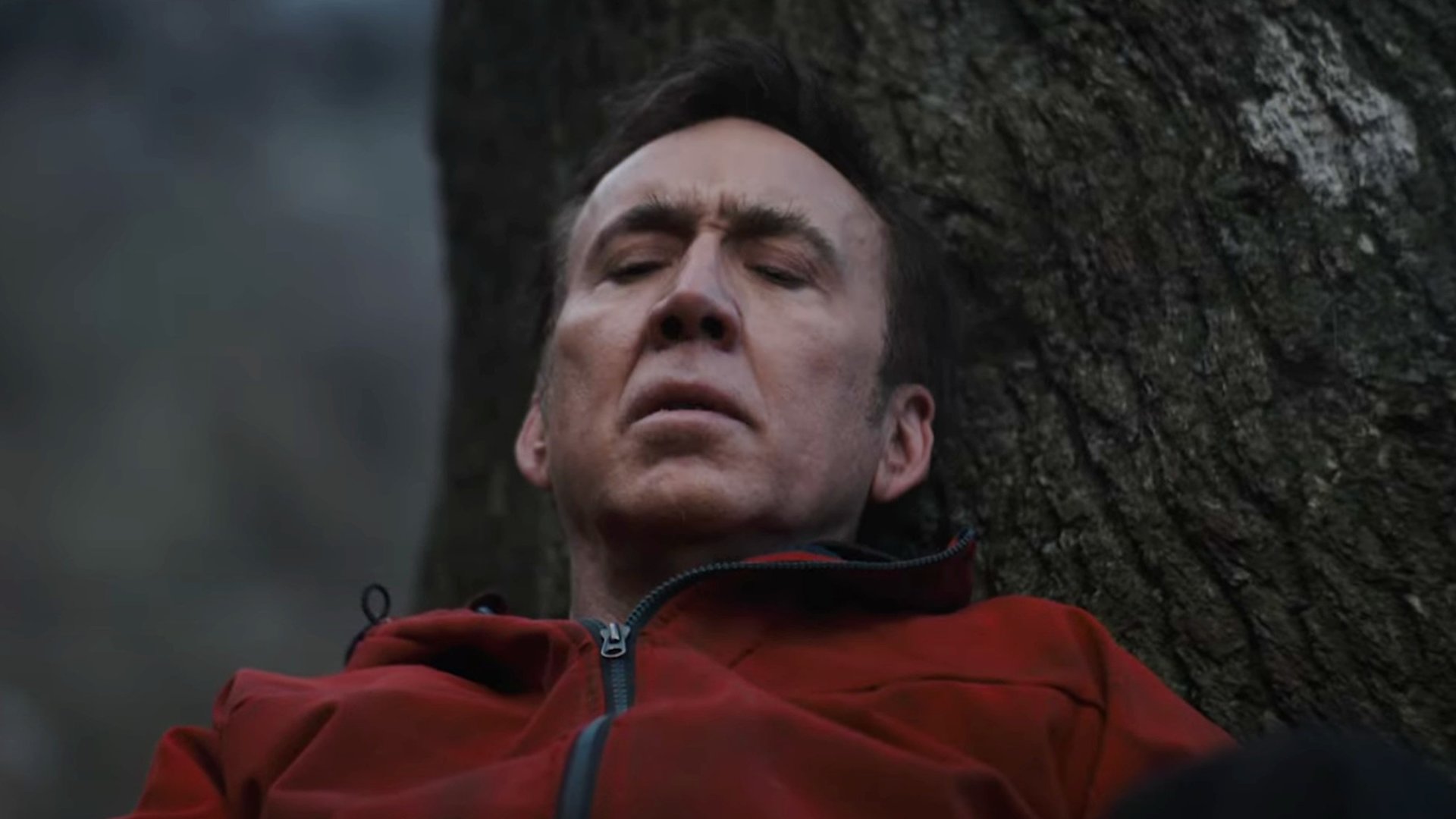 #Nicolas Cage kämpft im Survival-Horrortrailer ums nackte Überleben