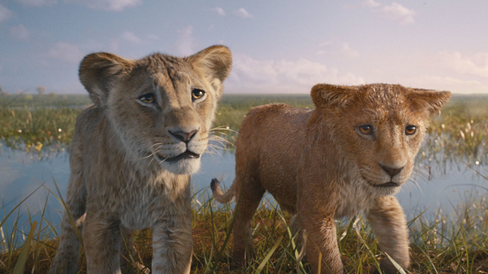 Ab heute bei Disney+ „Ich habe anfangs abgelehnt“: Was den „Mufasa“-Regisseur schließlich doch überzeugte