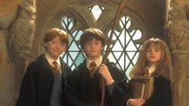 „Harry Potter“-Haustier-Quiz: Würdest du eine Eule, eine Katze oder eine Schildkröte mit nach Hogwarts nehmen?