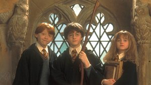 „Harry Potter“-Haustier-Quiz: Würdest du eine Eule, eine Katze oder eine Schildkröte mit nach Hogwarts nehmen?