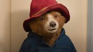 „Paddington 4“ soll kommen: Das sind die Pläne mit dem kleinen Bären