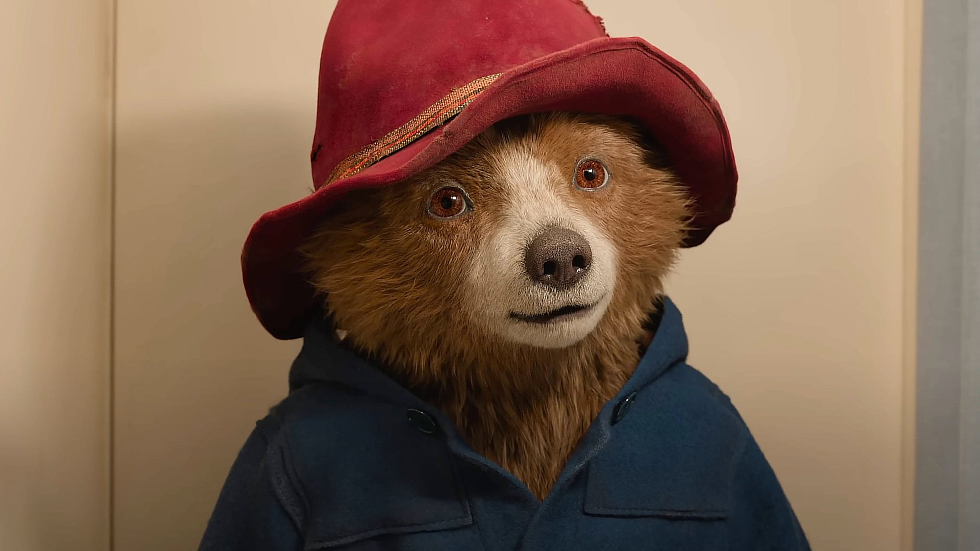 „Paddington 4“ soll kommen: Das sind die Pläne mit dem kleinen Bären