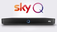 Sky Receiver anschließen: Anleitung