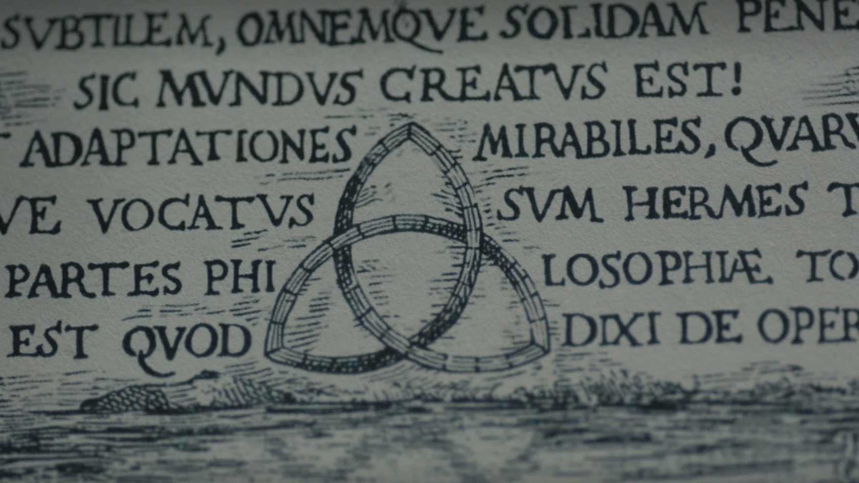 „Sic Mundus Creatus Est“ in „Dark“: Bedeutung & Mitglieder