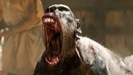 Riesiges Action-Epos aus 2024 sorgt jetzt für Streaming-Hype – aber weder bei Amazon noch auf Netflix