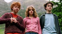 Größte Fantasy-Entscheidung: „Harry Potter“-Serie soll ihre Harry, Ron & Hermine gefunden haben