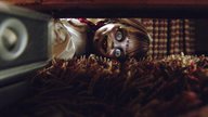 „Annabelle 4“: Schon in Arbeit? Regisseur will weitermachen und plant Spin-offs