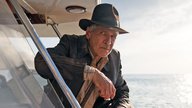Forscher ehren Harrison Ford: Tierart nach „Indiana Jones“-Star benannt