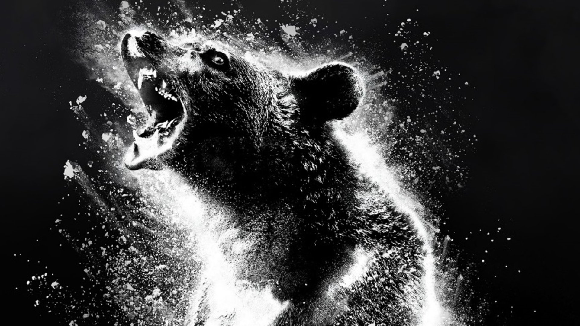 #Horrortrip mit einem Bären auf Drogen: Erster Trailer zum absolut irren „Cocaine Bear“
