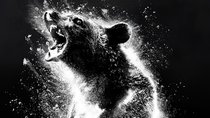 Wahrer Horrortrip mit einem Bären auf Drogen: Erster Trailer zum absolut irren „Cocaine Bear“