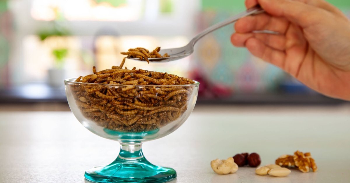 Insekten in Lebensmitteln: App sorgt für Verbrauchersicherheit
