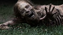 „The Walking Dead“: Jetzt gibt es wohl eine weitere Heilmethode gegen Zombie-Bisse