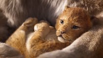 „Der König der Löwen“: Neue Bilder von Simba & Co. sorgen für Vorfreude
