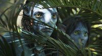 Falls „Avatar 2“ scheitert: So geht es mit dem Sci-Fi-Franchise weiter