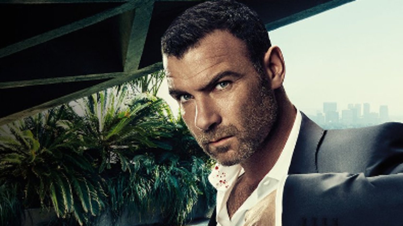 Läuft „Ray Donovan“ auf Netflix?