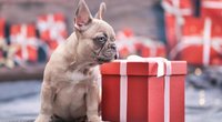 Streaming-Angebote für Weihnachten, Last-Minute-Geschenkideen und Schnäppchen