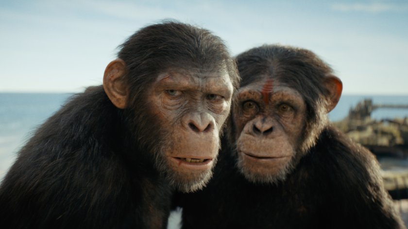 „Planet der Affen“: Nächste Fortsetzung in Sicht? So steht es um Teil 5