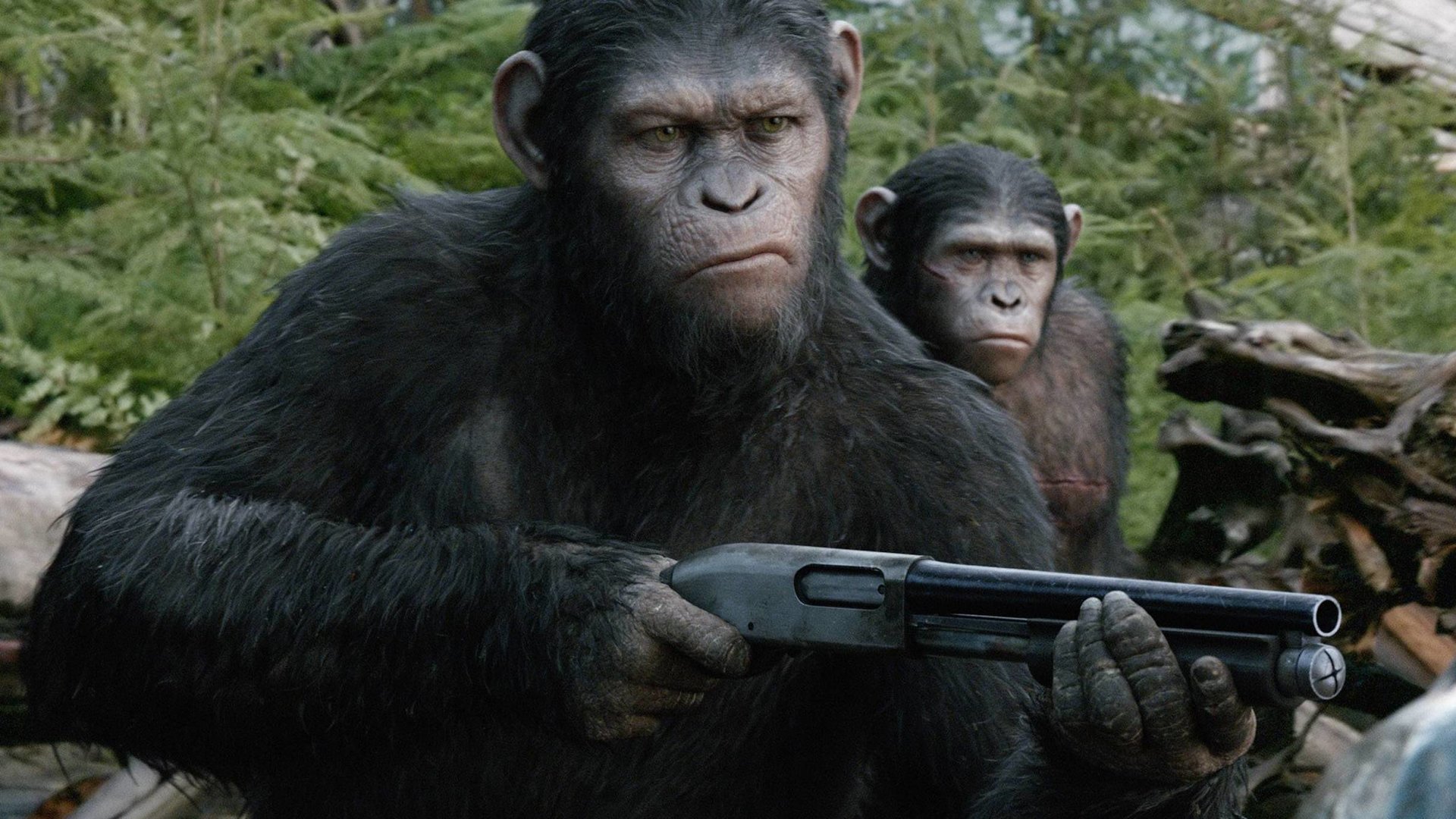 #„Planet der Affen 4“ nahm sich ultrabrutalen Film als Vorbild