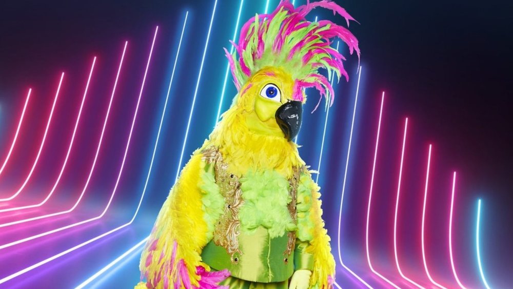 Masked Singer Erste Staffel Masked Singer Erste Staffel