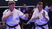 „Auf keinen Fall“: „Cobra Kai“-Star verweigerte Anweisung im großen Netflix-Finale