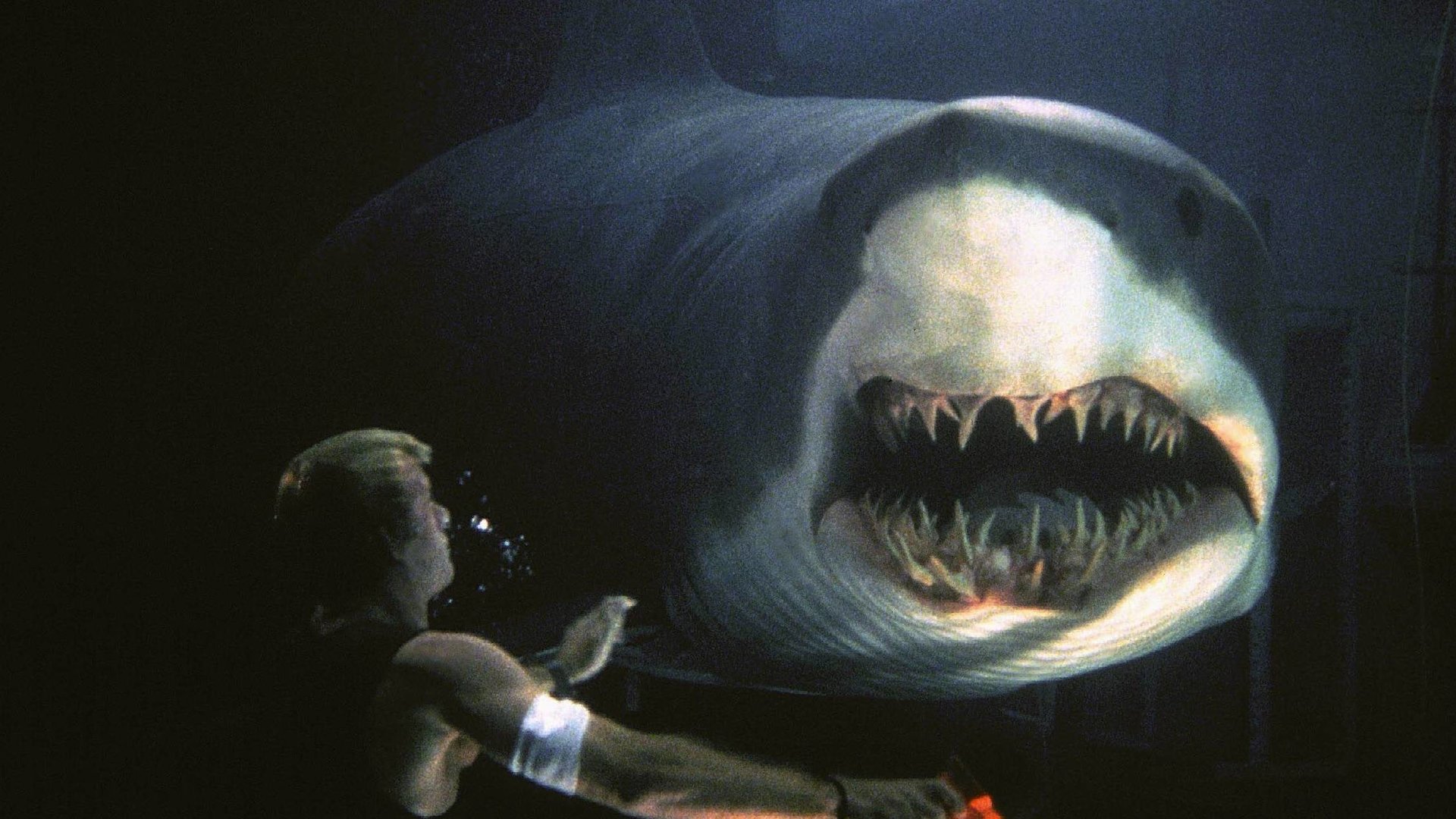 #Neuer Hai-Horrorfilm vom „Deep Blue Sea“-Regisseur: So will euch „Deep Water“ den Badespaß verderben