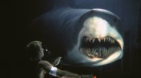 „Deep Blue Sea“-Regisseur dreht Hai-Horrorfilm: So will euch „Deep Water“ den Badespaß verderben