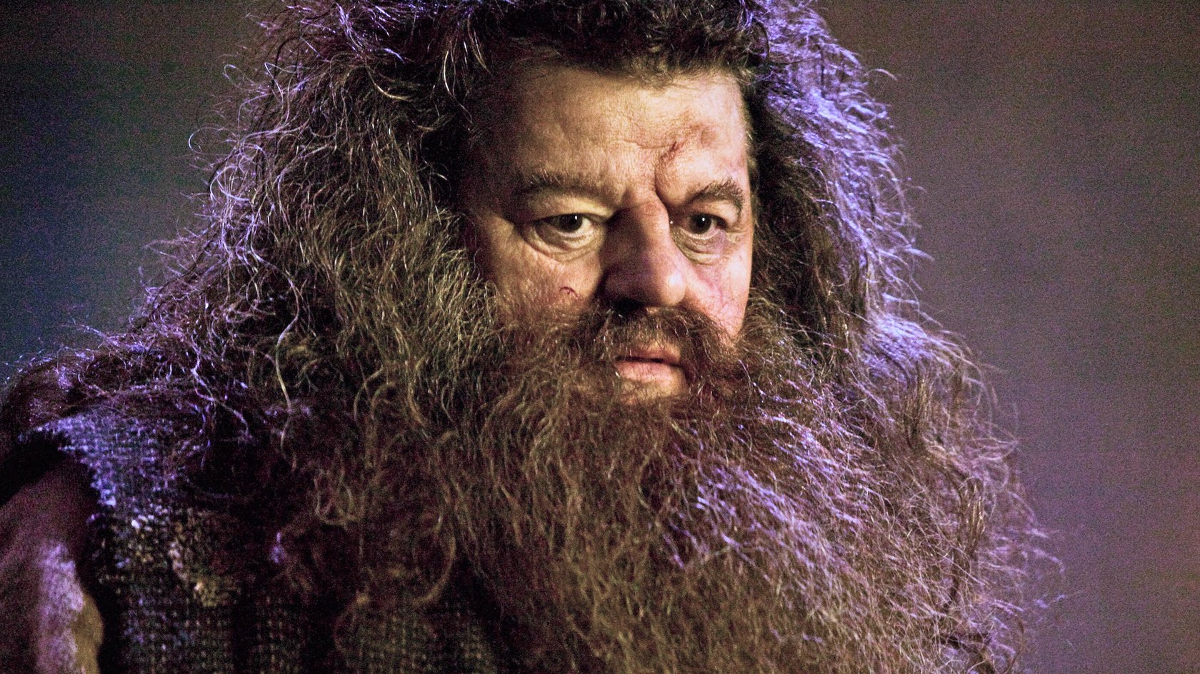 „Eine großartige Besetzung“: „Harry Potter“-Fans feiern neusten Hagrid-Favoriten