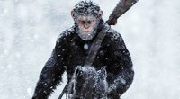 „Planet der Affen 4“: Neuer Regisseur bestätigt, dass uns eine Fortsetzung und kein Reboot erwartet