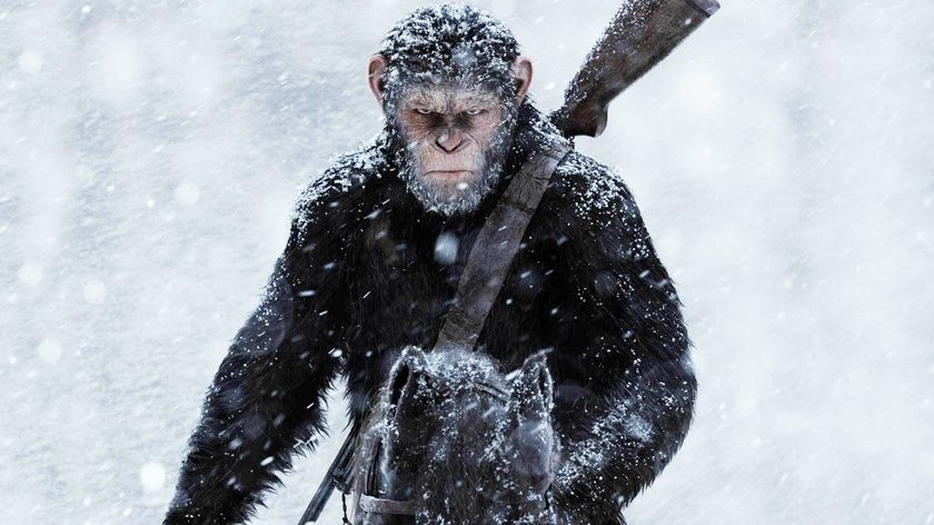 „Planet der Affen 4“: Neuer Regisseur bestätigt, dass uns eine Fortsetzung und kein Reboot erwartet