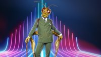 „The Masked Singer“: Wer war der Grashüpfer? Alle Infos!