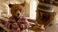 Überraschende Wende: Der beste Film aller Zeiten ist jetzt... „Paddington 2“