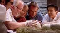 „Jurassic World 3“: Auf diese Figur der Dino-Reihe ist der Regisseur besonders stolz