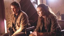 „The Last of Us“: Es gibt großartige Neuigkeiten zur weiteren Staffel der Horror-Serie der Stunde