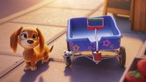 „PAW Patrol“: Neuer Hund Liberty unterstützt im Kinofilm den Rettungstrupp