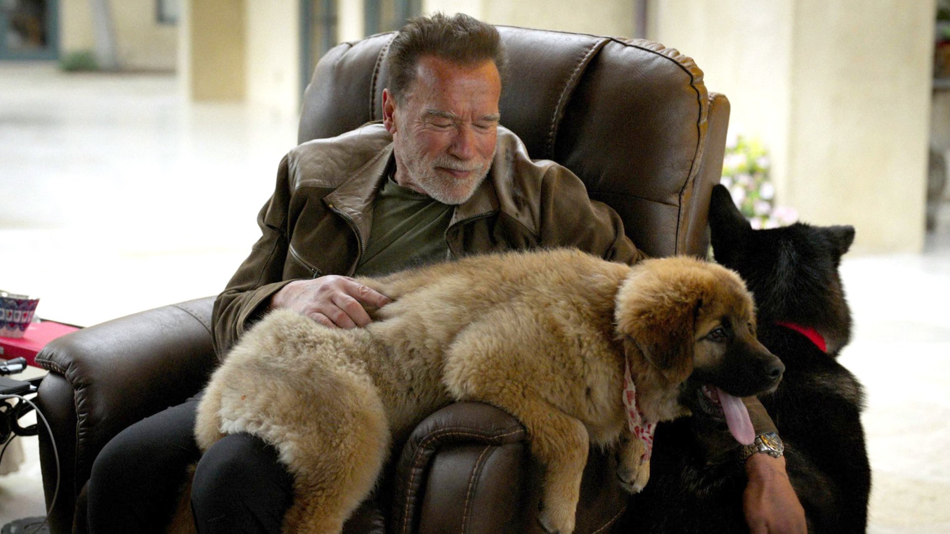 #Schlimmer Ärztepfusch: Arnold Schwarzenegger wäre fast gestorben