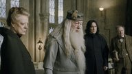 „Von Tag zu Tag schlechter“: Neuer Dumbledore & Hagrid für „Harry Potter“-Serie stoßen auf Kritik