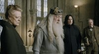 „Von Tag zu Tag schlechter“: Neuer Dumbledore & Hagrid für „Harry Potter“-Serie stoßen auf Kritik