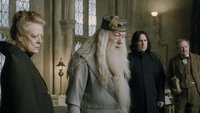 „Von Tag zu Tag schlechter“: Neuer Dumbledore & Hagrid für „Harry Potter“-Serie stoßen auf Kritik