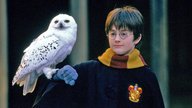 „Harry Potter“-Überraschung: Fantasy-Hit startet Zusammenarbeit mit riesiger Anime-Sensation