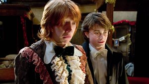 Aus „Harry Potter“-Serie gestrichen: Neue Serie bringt endlich vergessenen Fanliebling zurück