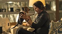Der wohl teuerste Hundehaufen der Filmgeschichte: „John Wick“-Macher mussten für Auftakt der Action-Reihe tief in die Tasche greifen