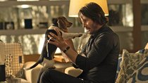 5.000 Dollar für Kot: So sorgte „John Wick“ für den wohl teuersten Hundehaufen der Filmgeschichte