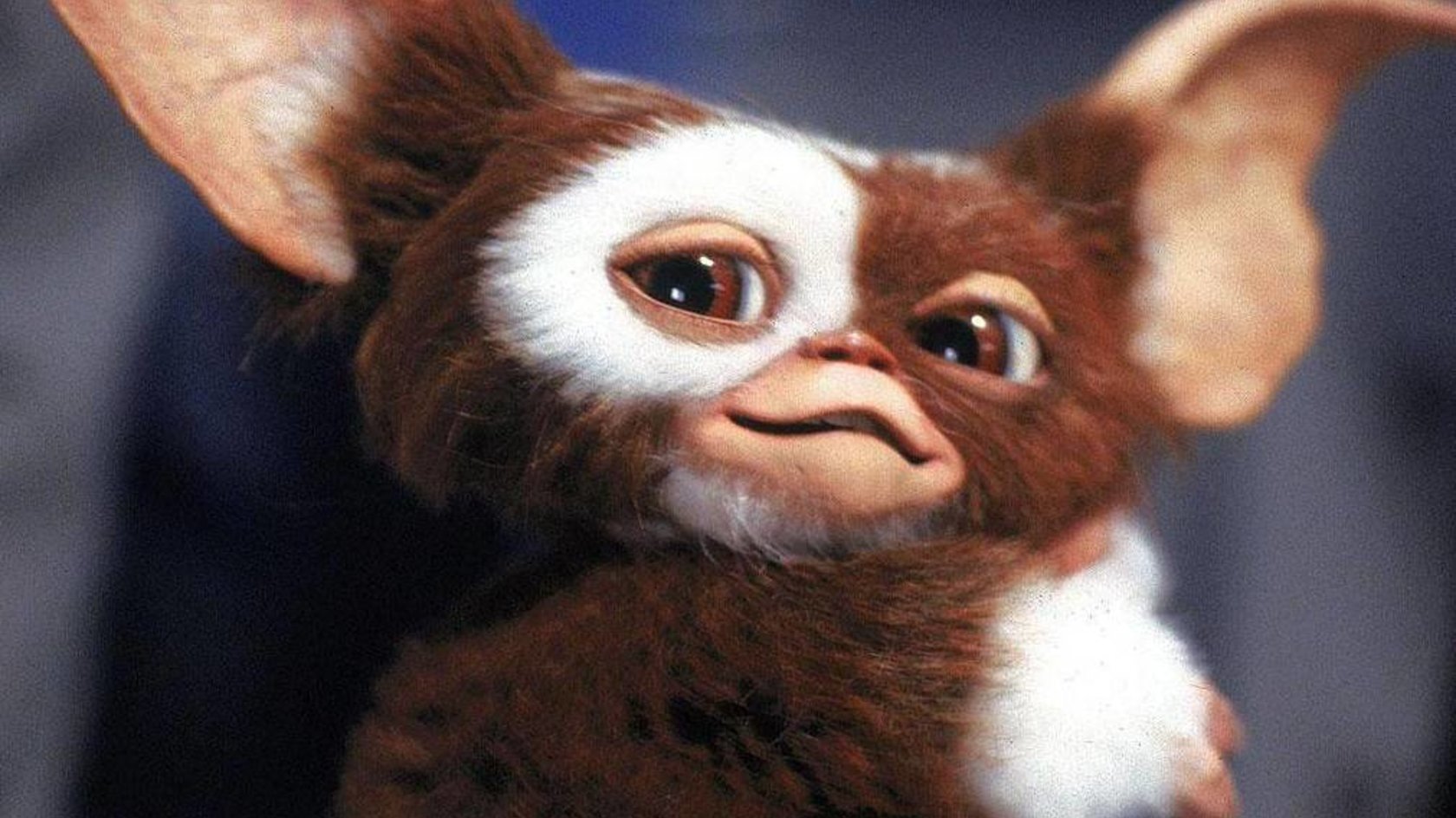 Gizmo kehrt in „Gremlins“-Serie zurück: Startjahr und erstes Bild enthüllt