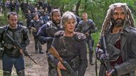 „The Walking Dead“-Regisseur liefert neue Infos zum fehlenden Finale