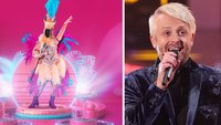 „The Masked Singer“ Flamingo auf Platz 3: Ross Antony enttarnt!