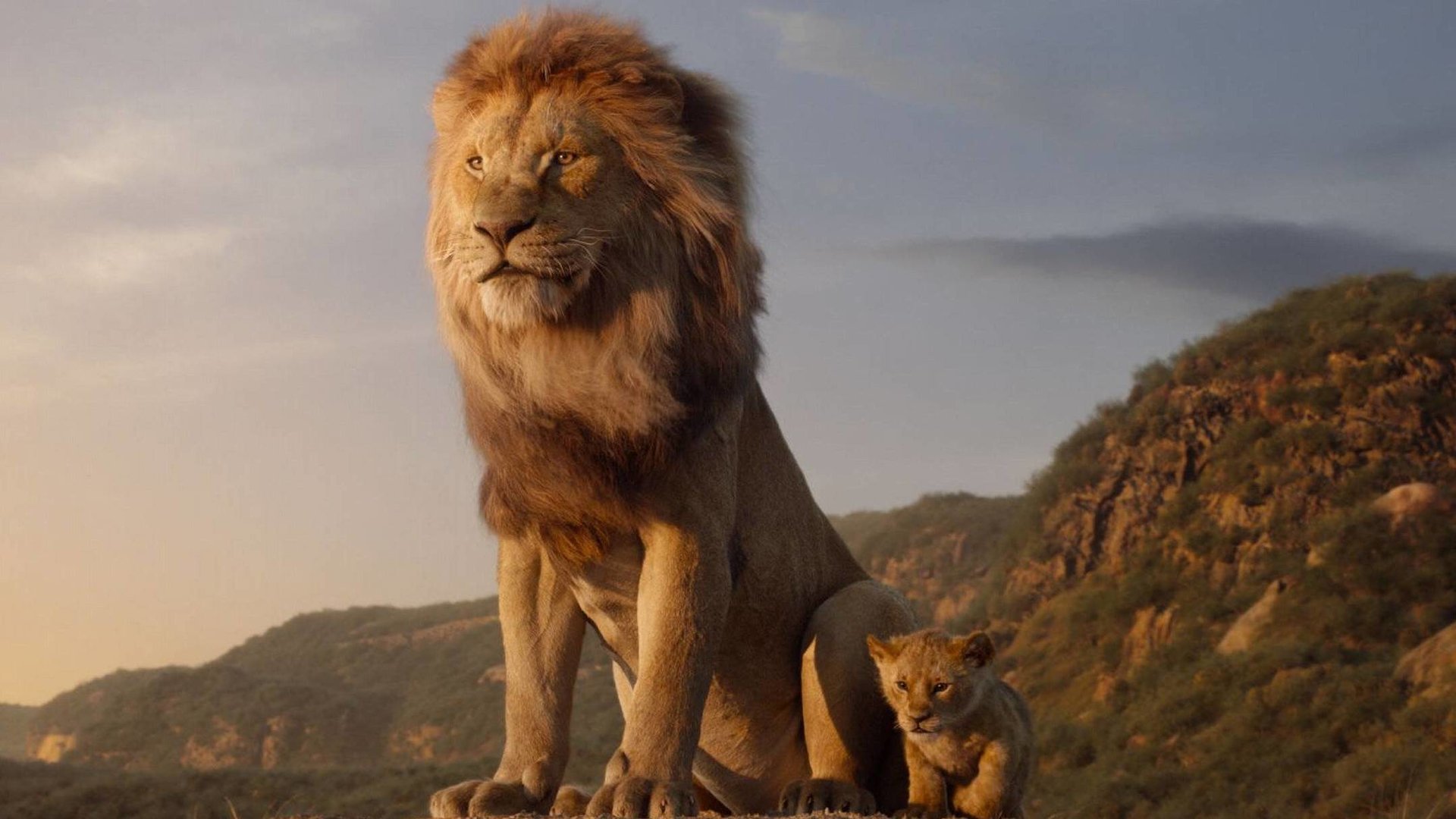 #Erstes Bild zu neuem „König der Löwen“ enthüllt