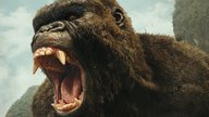 King Kong in Ketten: Erstes Video zum ultimativen Kino-Erlebnis „Godzilla vs Kong“