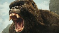 King Kong in Ketten: Erstes Video zum ultimativen Kino-Erlebnis „Godzilla vs Kong“